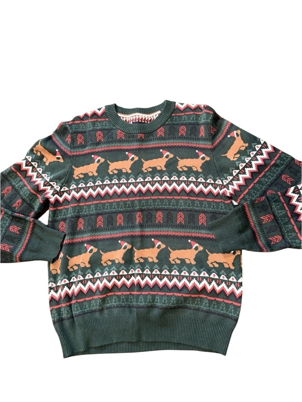 Denim & flower men’s green sweater with doggie print size large